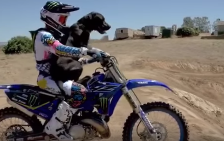 Jarryd McNeil